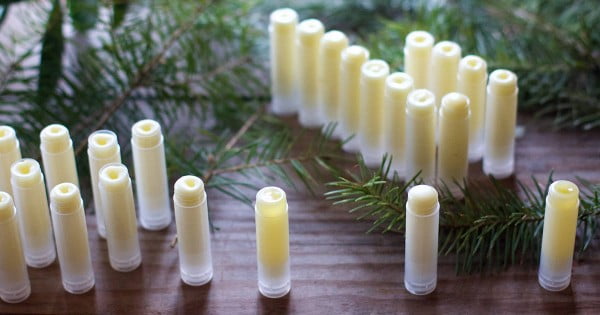 How to Make Evergreen-Scented Homemade Lip Balm – LearningHerbs #DIY #crafts #lipbalm