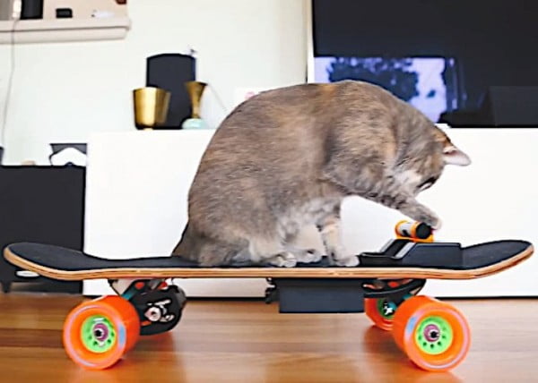 DIY electric skateboard project by Kim Pimmel #DIY #crafts #toys
