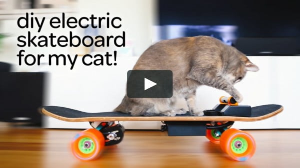 DIY electric skateboard for cats #DIY #crafts #toys