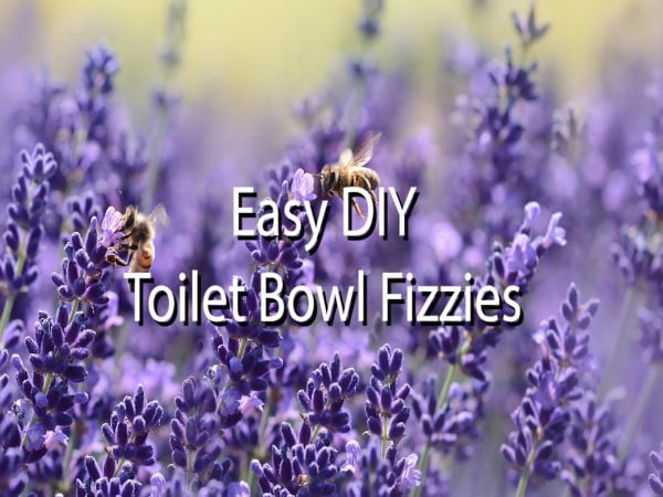 Easy DIY Toilet Bowl Fizzies #DIY #bathroom #cleaning #fizzies #toiletbombs #crafts
