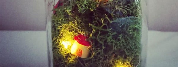 DIY Fairy Lantern Jar #DIY #craft #fairyjar #masonjar #homedecor