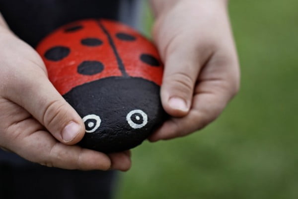 June Bug DIY: Pet Rocks for the Garden #DIY #craft #toys #petrock