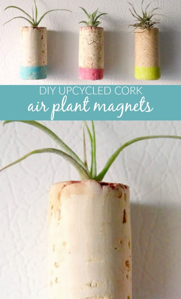 DIY Upcycled Cork Air Plant Magnets #DIY #craft #winecork