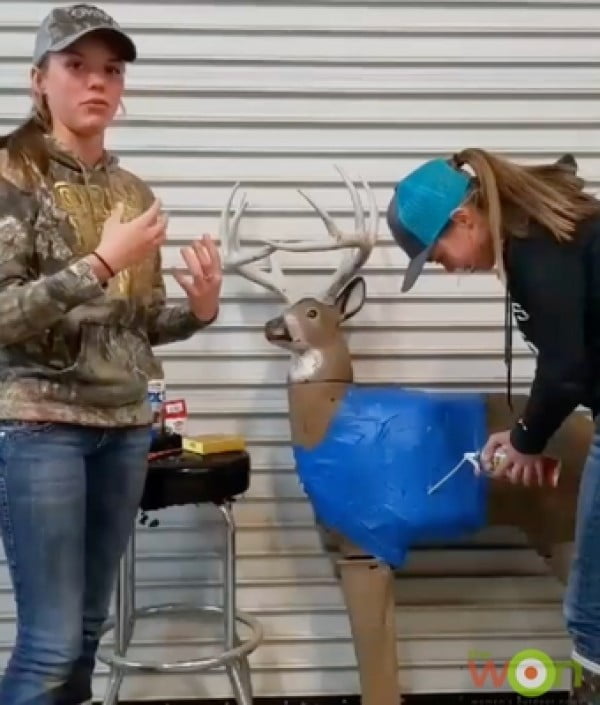 DIY: How to Repair and Restore a 3D Archery Target