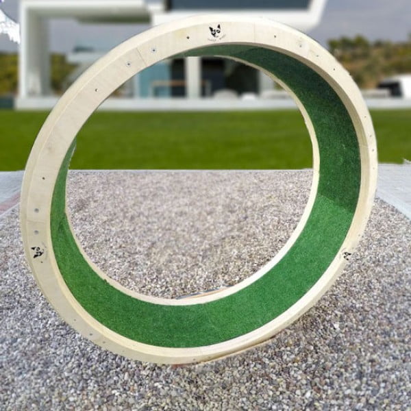 DIY: Plywood Cat Exercise Wheel