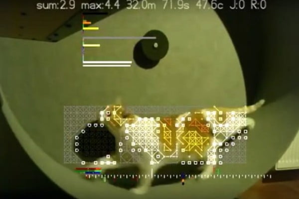 DIY Smart Cat Wheel is a Feline Fitness Tracker