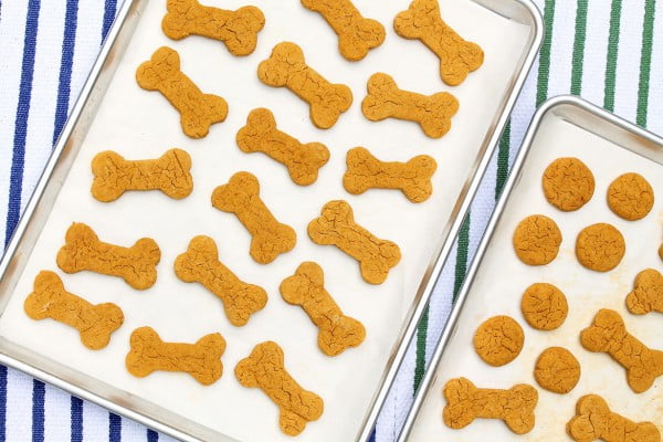 Homemade Dog Treats – The Fountain Avenue Kitchen
