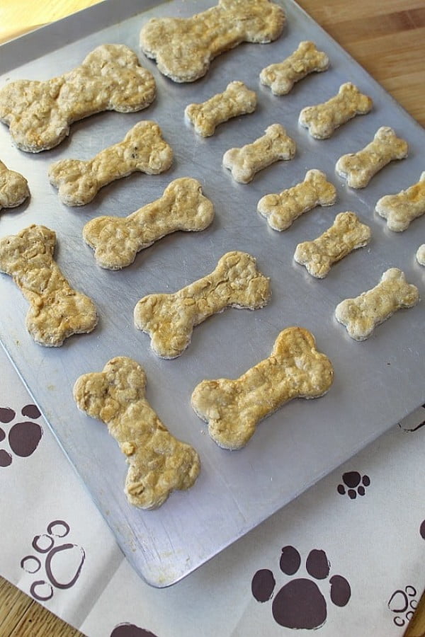 Homemade Dog Treats