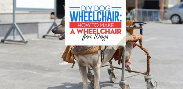 How to Make a Wheelchair for Dogs By Yourself