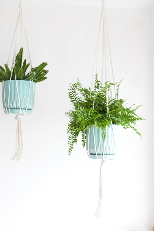 DIY Macramé Plant Hanger » Jessica Brigham