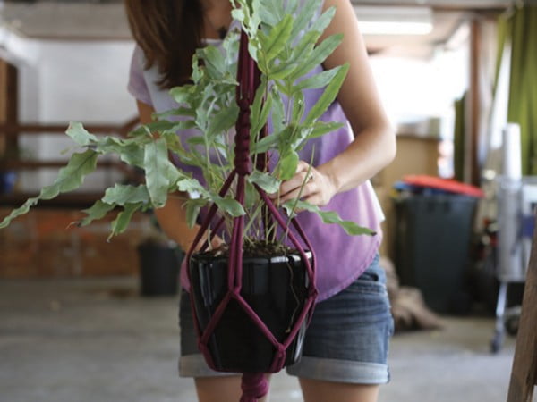 DIY Macrame Plant Hanger Kit