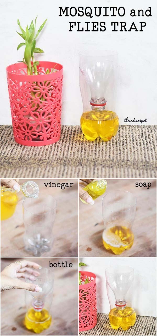 DIY MOSQUITO and FLIES TRAP