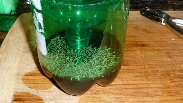 Get Rid Of mosquitoes At Your Home With This Simple Homemade Mosquito Trap