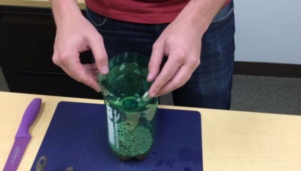 Simple Trick to Get Rid Of Mosquitoes: DIY Mosquito Trap