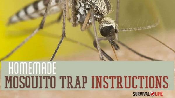 Homemade Mosquito Trap Instructions