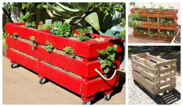 DIY Vertical Strawberry Planter from Recycled Pallet